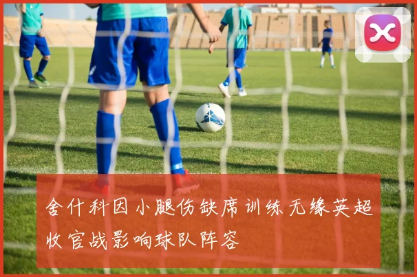 舍什科因小腿伤缺席训练无缘英超收官战影响球队阵容
